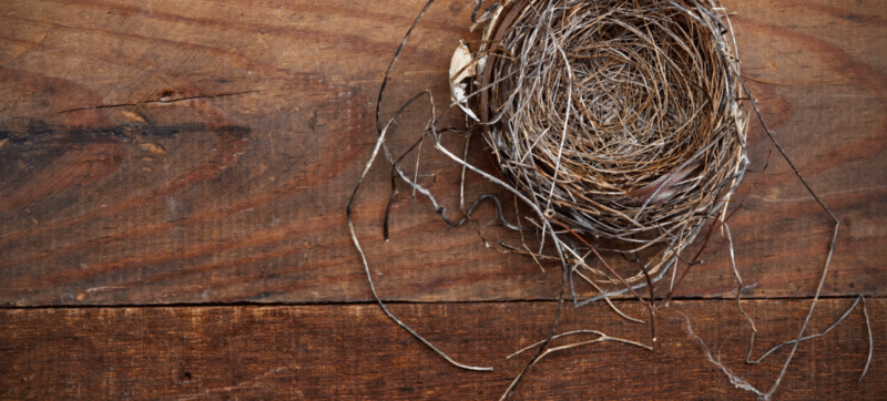 Do Empty-Nesters Need Life Insurance?